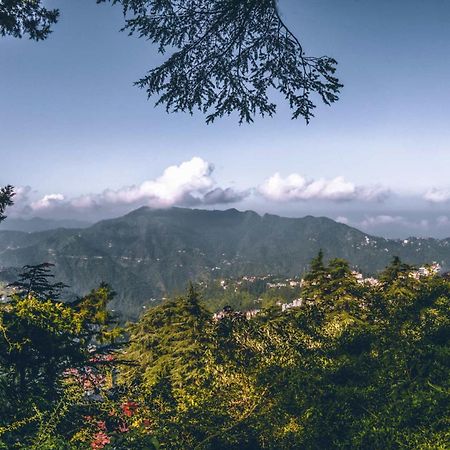 Stayvista At Rose Cottage - Bonfire & Scenic View Shimla Exterior foto
