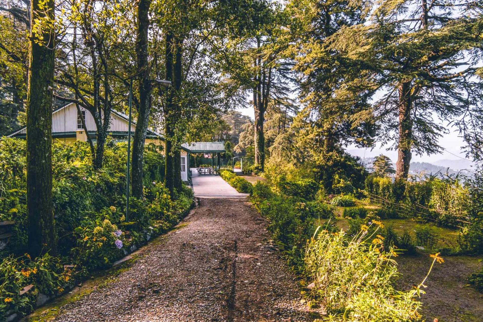 Stayvista At Rose Cottage - Bonfire & Scenic View Shimla Exterior foto